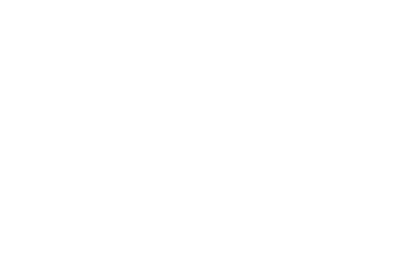 ZAKISON Logo